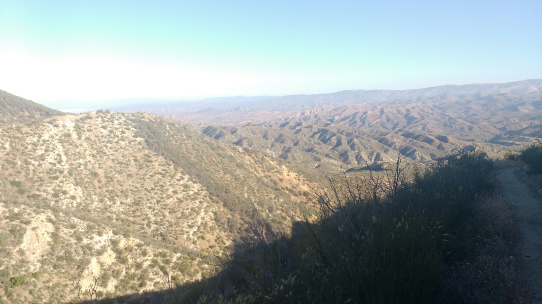 wp-1463608363941 image