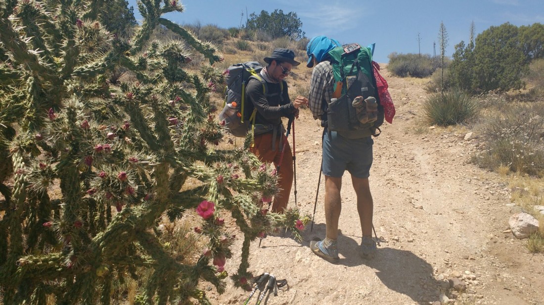 wp-1463609843775 image