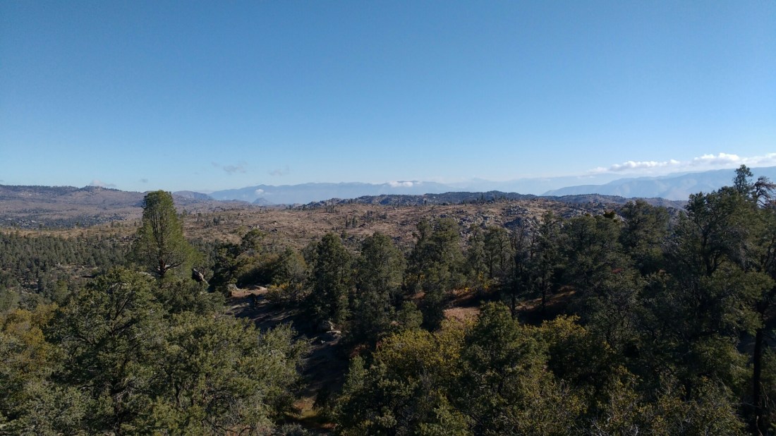 wp-1464403073900 image