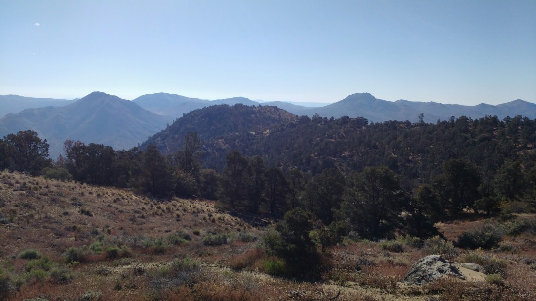 wp-1464403177453 image