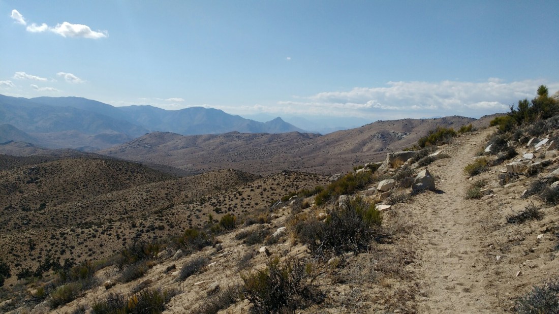 wp-1464403208306 image