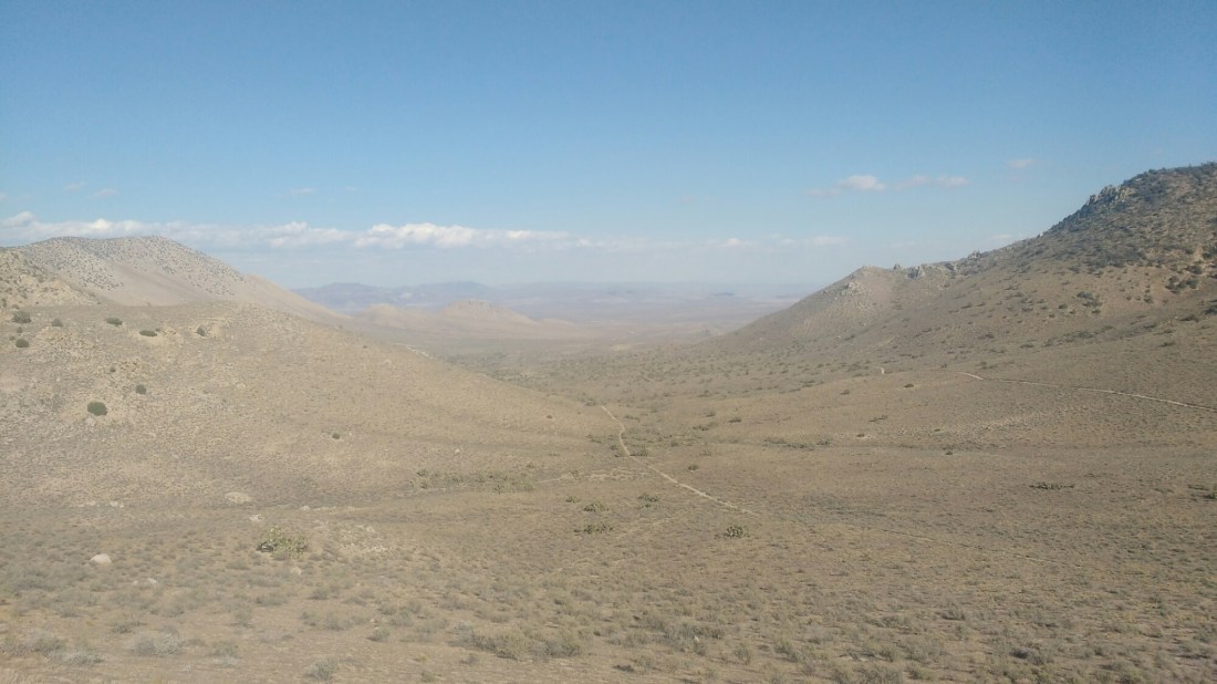 wp-1464403290625 image