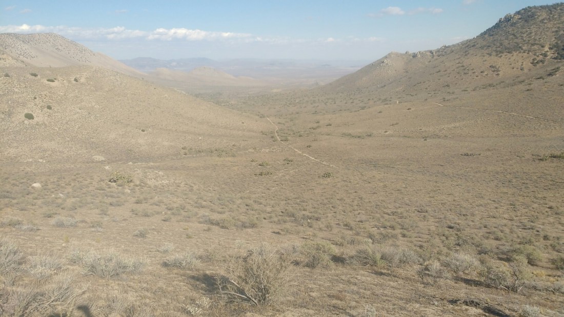 wp-1464403305792 image