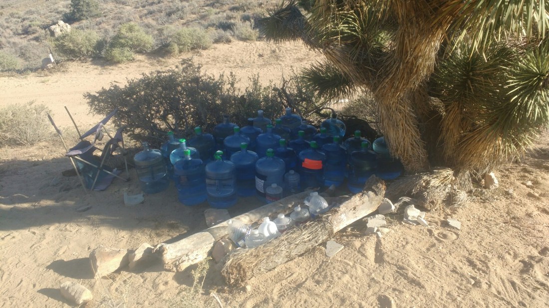 wp-1464723064978 image