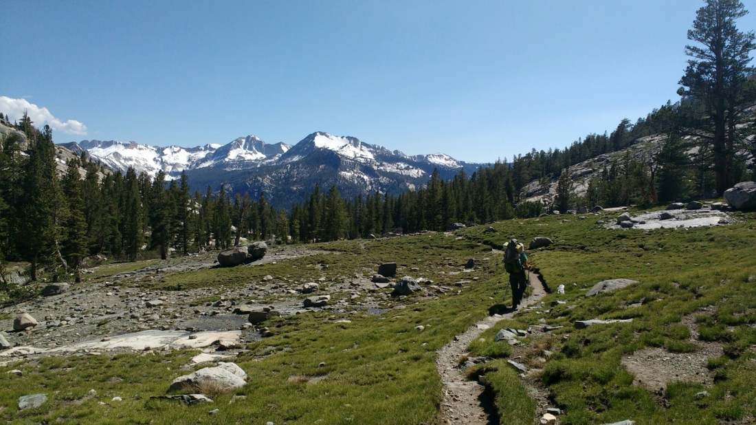 wp-1466523034027 image