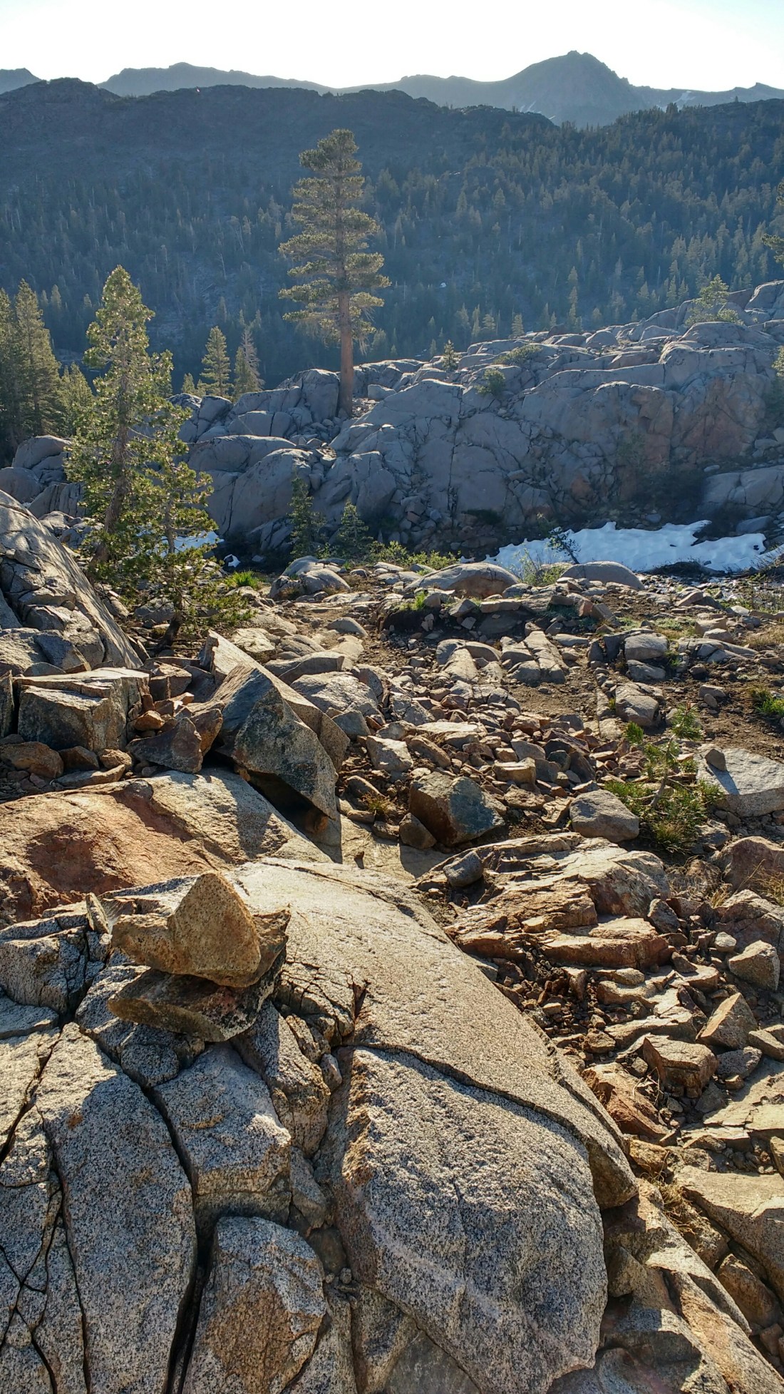 wp-1467170939028 image