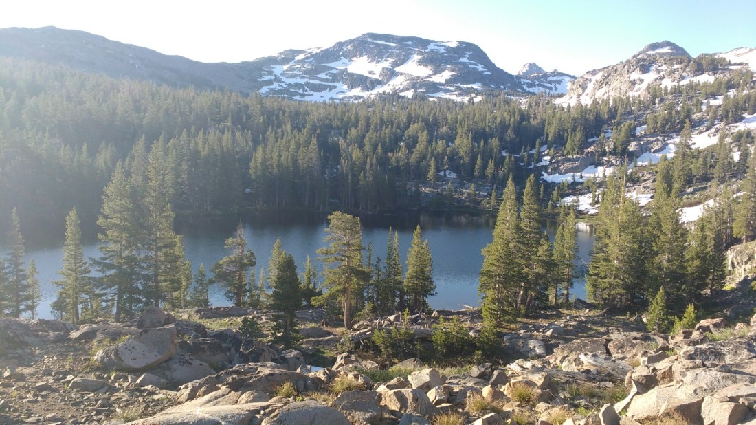 wp-1467171096932 image