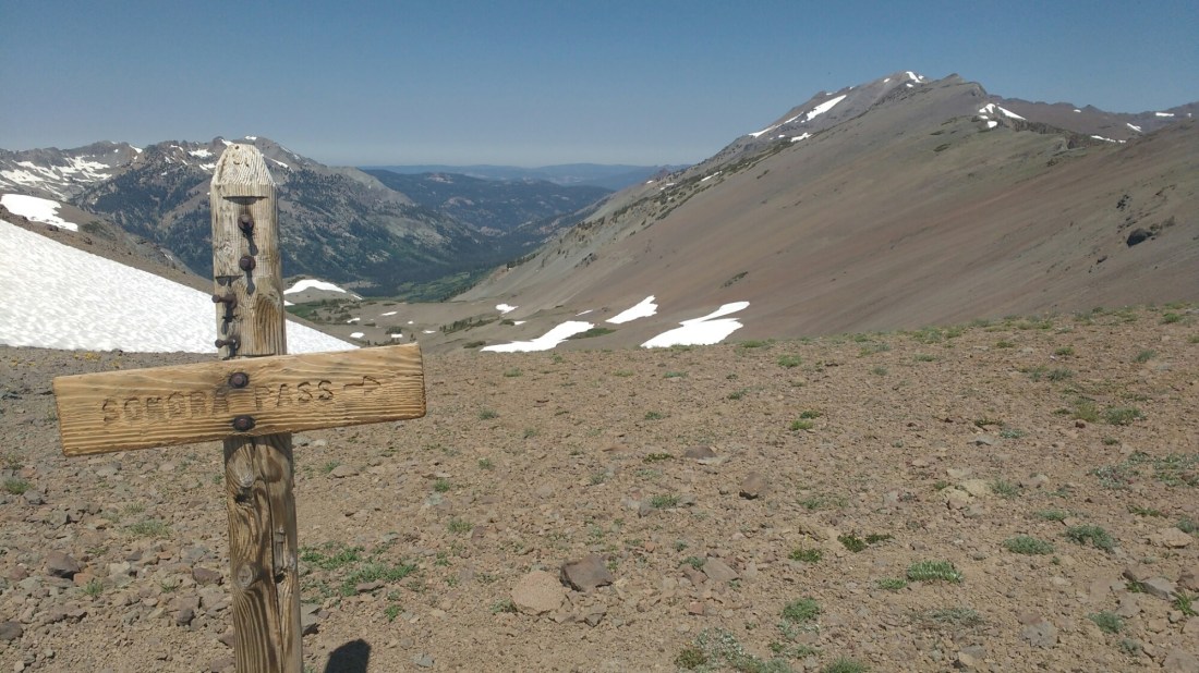 wp-1467171886144 image