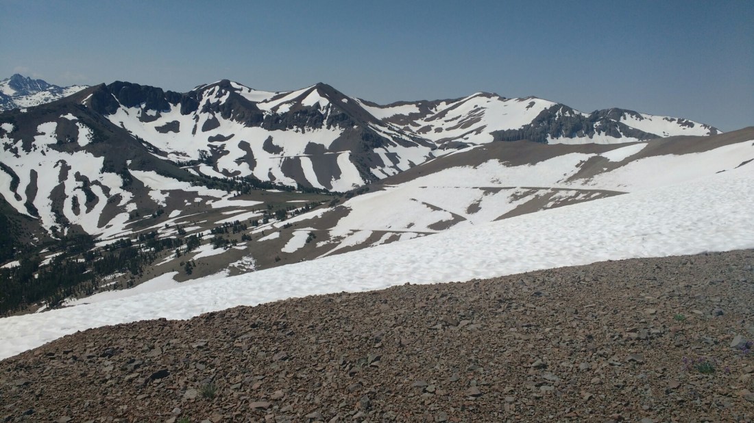 wp-1467171925213 image