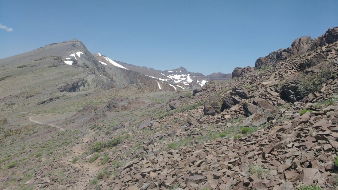 wp-1467172066498 image