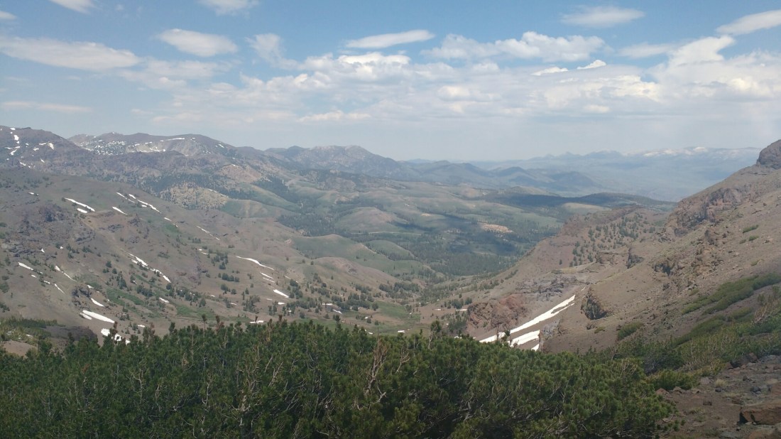 wp-1467172437136 image