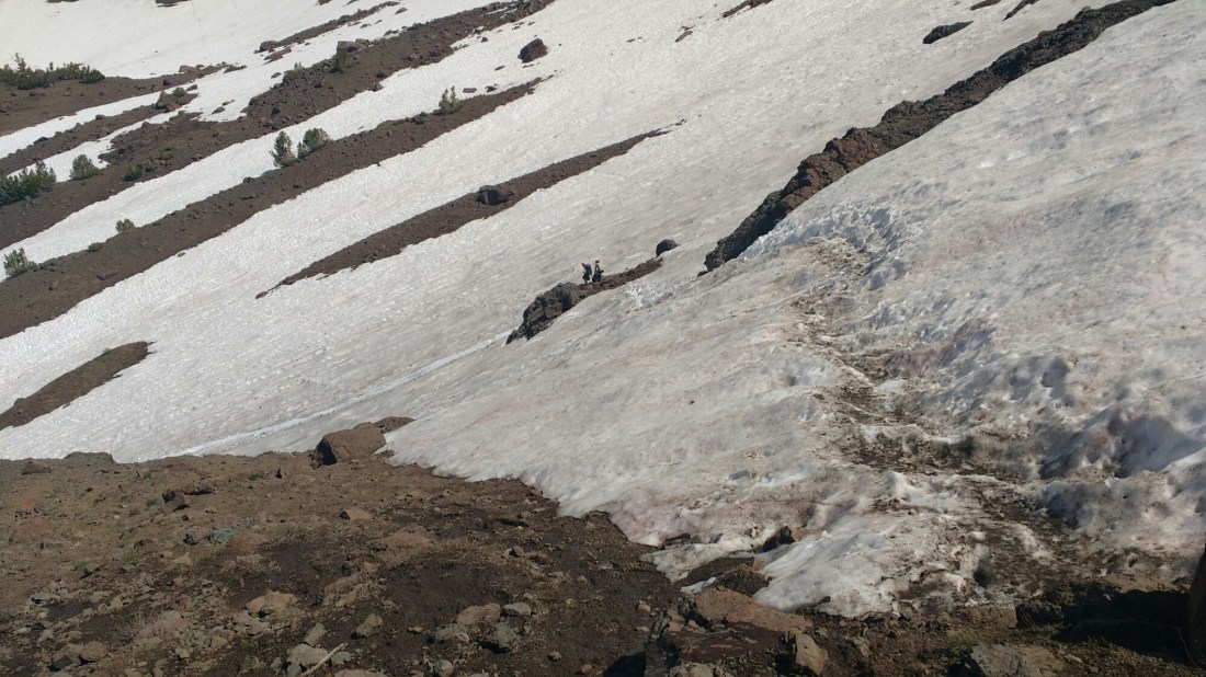 wp-1467172518892 image