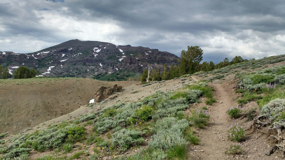 wp-1467172871257 image