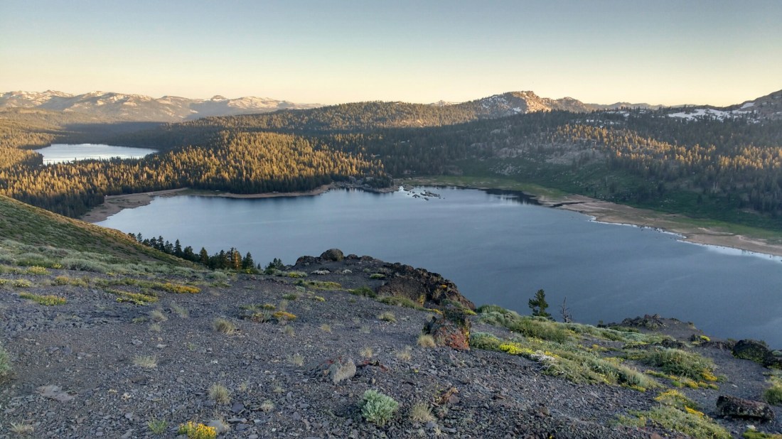 wp-1467519451648 image