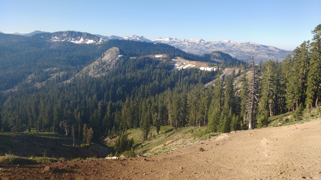 wp-1467900921500 image