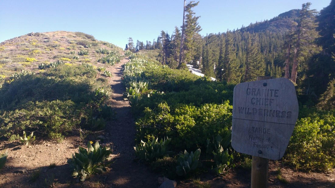 wp-1467901216233 image