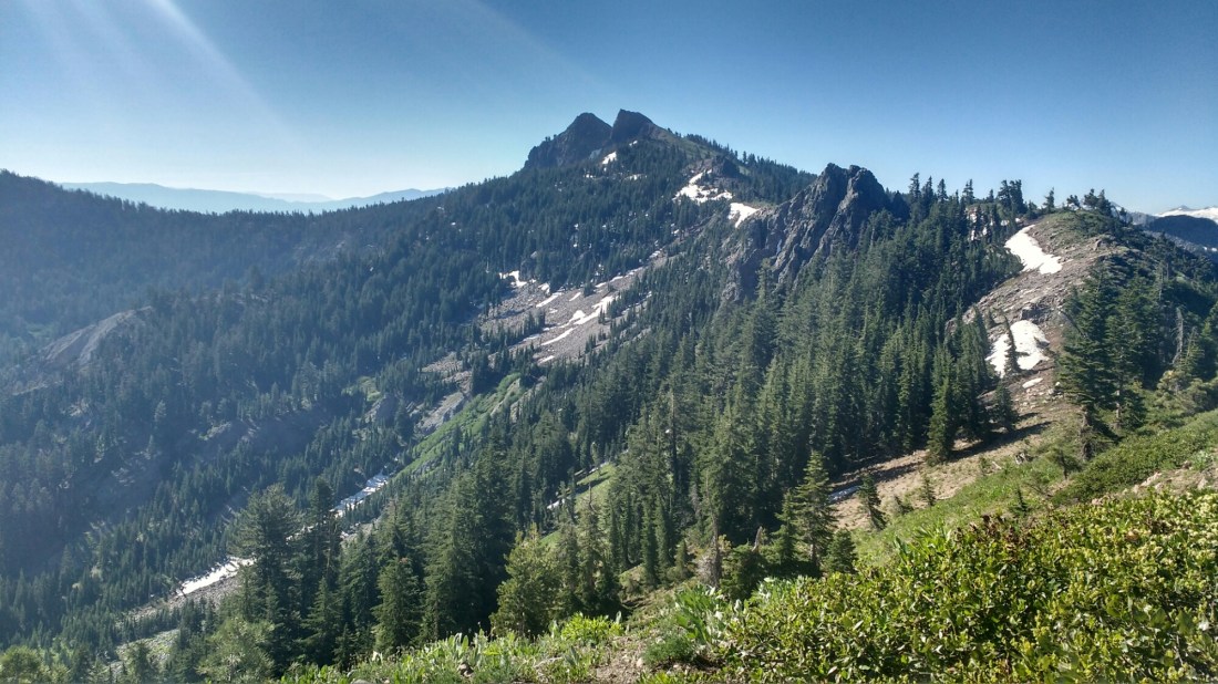 wp-1467901288771 image