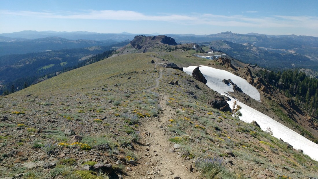 wp-1467901423290 image