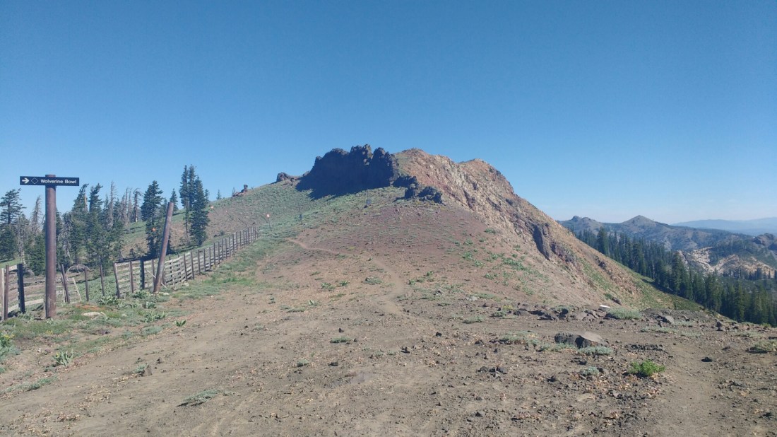 wp-1467901561070 image