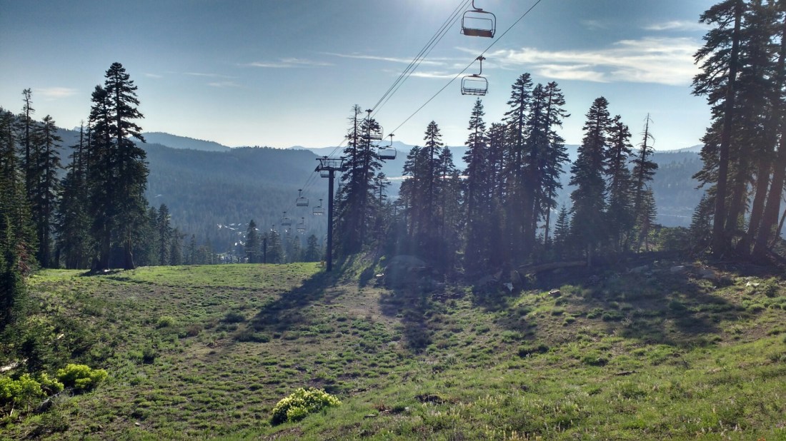 wp-1467901625337 image