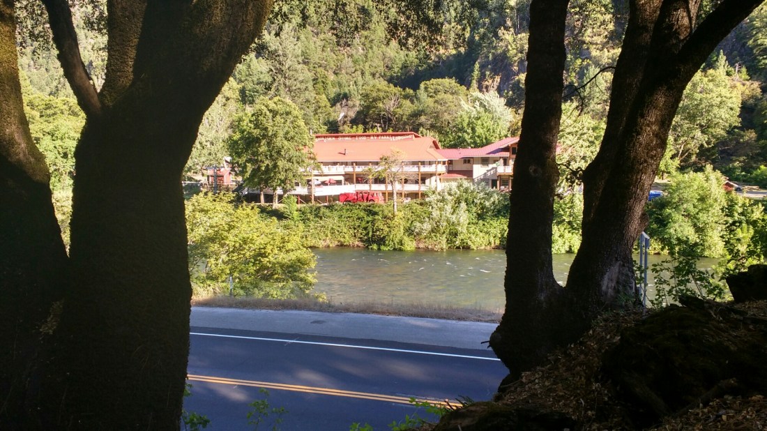 wp-1468213968978 image