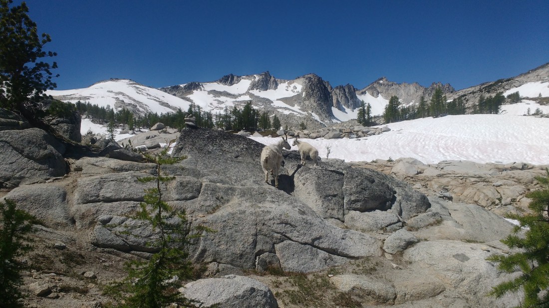 IMG_20170723_120814405