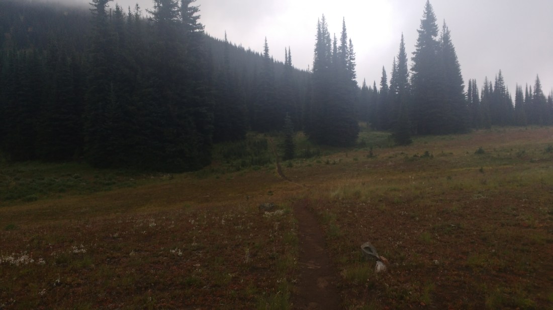 IMG_20170813_082210191