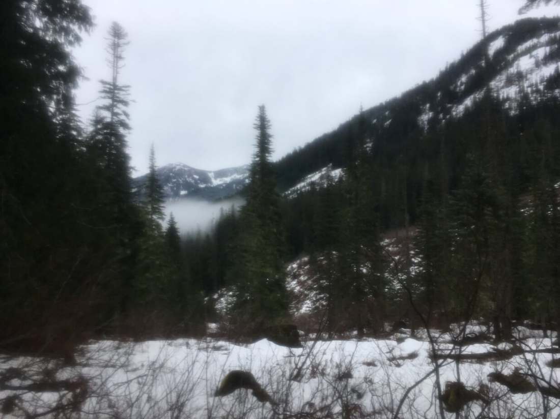 20190120_190909975_iOS