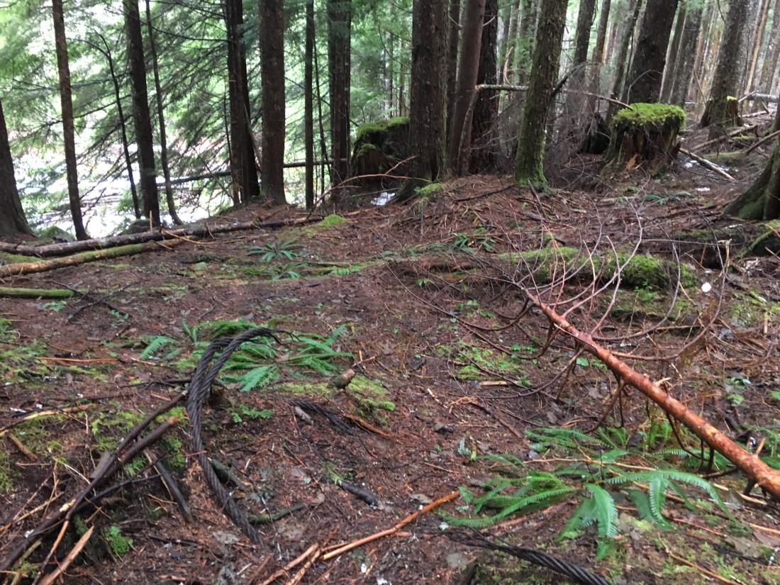 20190120_201017311_iOS