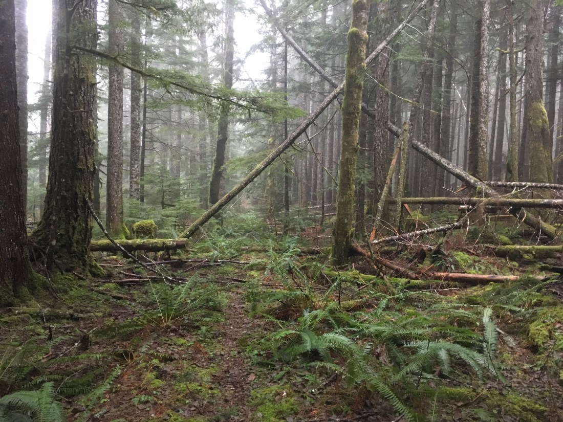 20190120_221225818_iOS