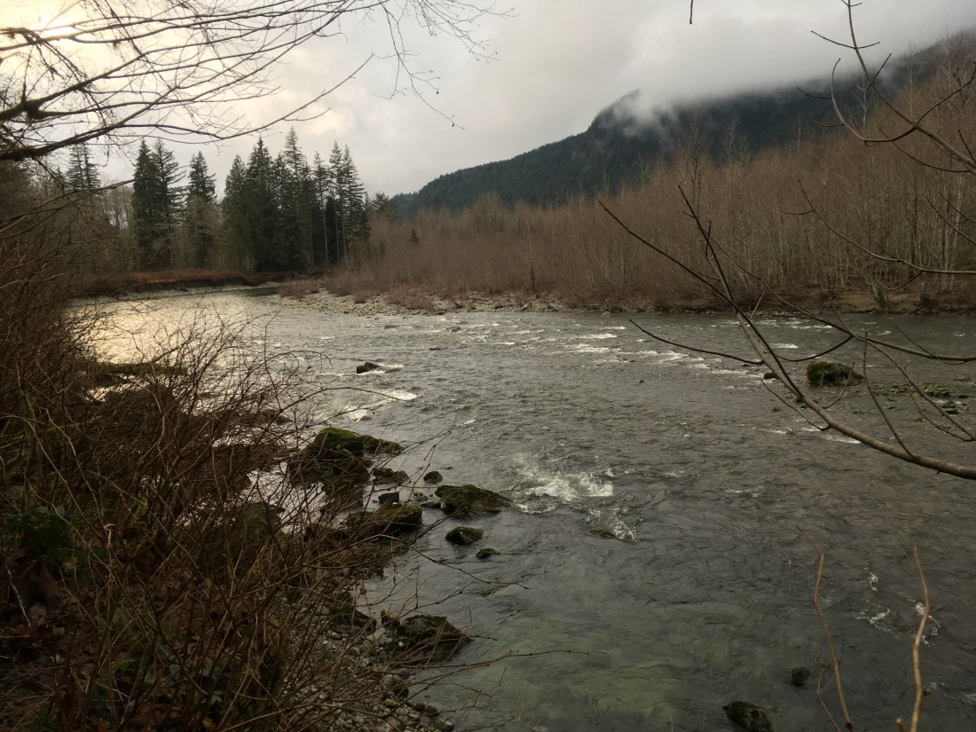 20190121_000845704_iOS