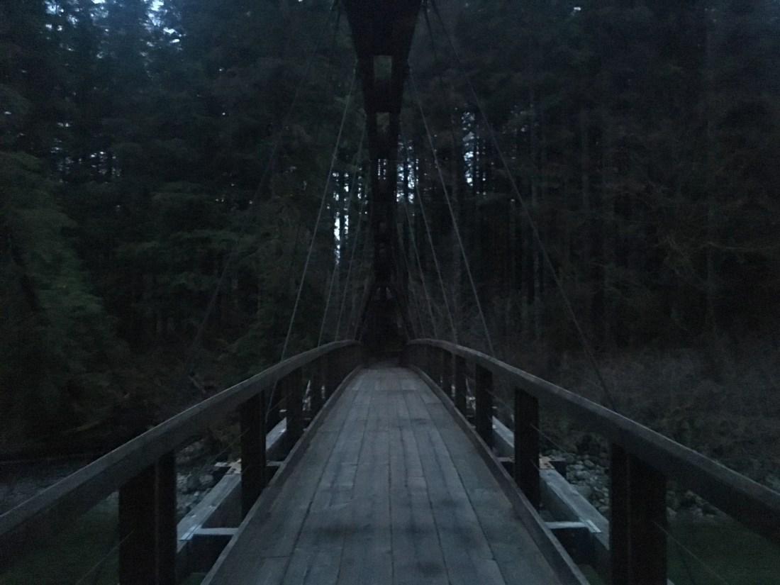 20190121_010514449_iOS